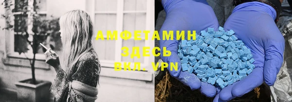 сатива Куйбышев