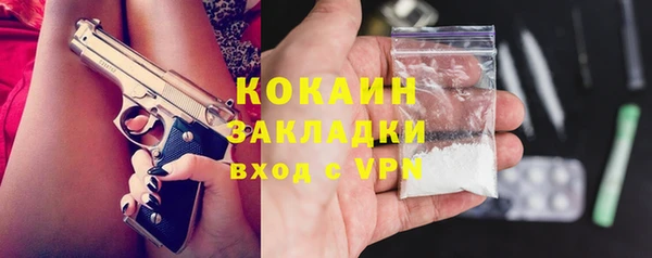 сатива Куйбышев