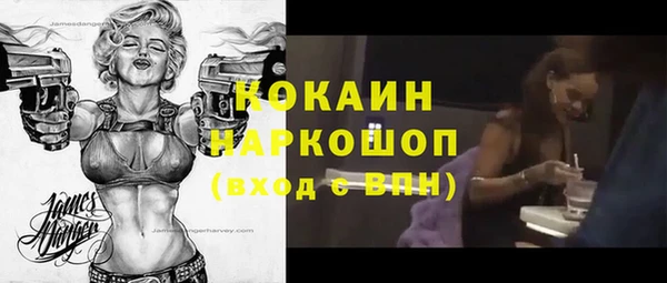 сатива Куйбышев