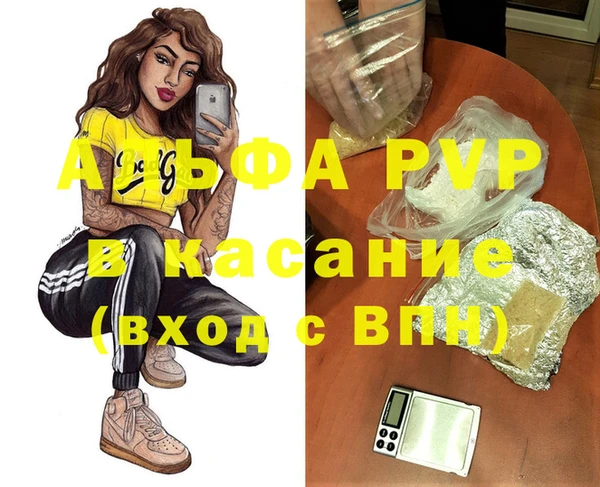 сатива Куйбышев